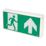 Robus  Maintained or Non-Maintained Emergency LED Exit Box with Up Arrow 4W 30lm