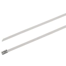 Essentials Stainless Steel Cable Ties Metallic 25cm x 0.46cm 100 Pack
