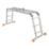 Magnusson  1.62m Combination Ladder With Platform