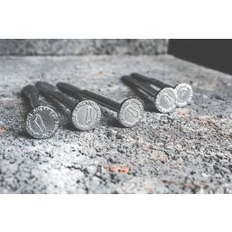 Footprint  Bricklayers Line Pins 160mm 2 Pack