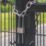 Smith & Locke  Laminated Steel   Long Shackle  Padlock 50mm