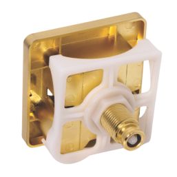 ETAL Porto Dual-Flush Square Plate Brushed Brass