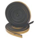 Stormguard EPDM Rubber Weatherstrips Black 10m 2 Pack