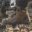 DEWALT Foundry Size 10  Gunsmoke Waterproof Steel Toe Cap Safety Boots