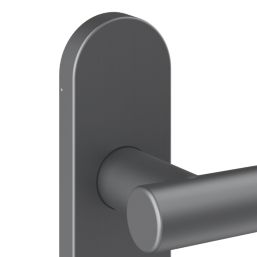 Cooke & Lewis Damgan Lever on Backplate Door Handles Pair Titanium