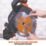 Evolution R255SMS 255mm  Electric Single-Bevel Sliding Multi-Material Mitre Saw 110V