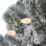 Octanis 500mm Indoor  Battery LED Pre Lit Artificial Christmas Wreath