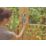Gardena Single Outlet Easy Water Control