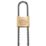 Burg-Wachter Magno Flex Brass  Water-Resistant Long Shackle  Padlock 50mm