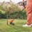 Flymo SimpliTrim 230 300W 230V Corded  Electric Grass Trimmer