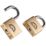 Squire LN4T Brass  All-Weather   Padlock 39.5mm 2 Pack