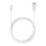 Titan TTS1070VAC Cordless Window Vacuum