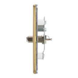 Contactum Lyric 1-Gang F-Type Satellite Socket Brushed Brass with White Inserts