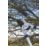 Spear & Jackson Razorsharp  Dual-Geared Bypass Lopper 26 1/4" (670mm)