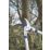 Spear & Jackson Razorsharp  Dual-Geared Bypass Lopper 26 1/4" (670mm)