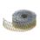 DEWALT Galvanised Ring Shank Coil Nails 2.1mm x 50mm 2100 Pack