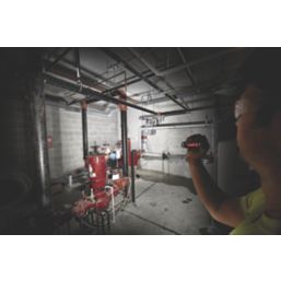 Milwaukee TRUEVIEW  LED Flashlight Black 325lm