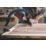 Bosch Expert AVZ 32 RT4 40-Grit Multi-Material Sanding Plate 32mm