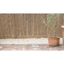 Apollo Reed Garden Screen 4m x 1m