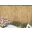Apollo Reed Garden Screen 4m x 1m