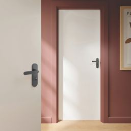 Cooke & Lewis Maugan WC Lever on Backplate Door Handles Pair Titanium