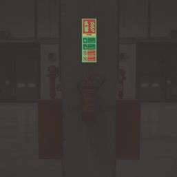 Essentials  Photoluminescent "Fire Extinguisher Foam" Sign 300mm x 100mm