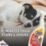 Zep Pet  Stain & Odour Remover 750ml