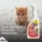 Zep Pet  Stain & Odour Remover 750ml