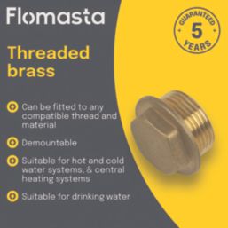 Flomasta Male Flanged Plug 3/4" x