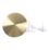 Flomasta  Shower Trap Brushed Brass 90mm