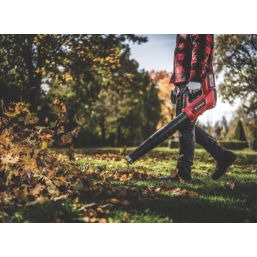 Einhell Professional  GP-LB 36/230 Li E BL-Solo 36V Li-Ion Power X-Change Brushless Cordless Leaf Blower - Bare