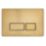 Quad Dual-Flush Flushing Plate Brushed Brass