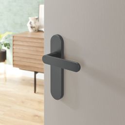 Cooke & Lewis Maugan Lever on Backplate Door Handles Pair Titanium