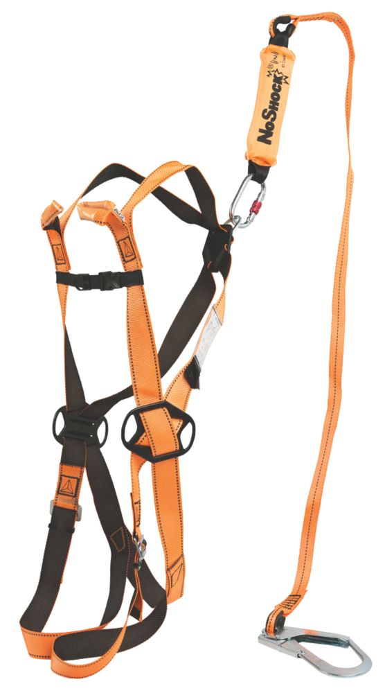 Delta Plus ELARA190 Scaffolding Fall Arrest Kit 2m Screwfix