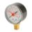 Flomasta Bottom Connection Pressure Gauge 10bar
