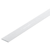 Rothley White Plastic Flat Bar 1000 x 24 x 2mm