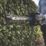 Erbauer  ERT1027GHT 60cm 36V Li-Ion EXT Brushless Cordless Hedge Trimmer - Bare