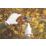 Spear & Jackson Bypass Razorsharp Left-Handed Secateurs 8 1/2" (213mm)