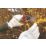Spear & Jackson Bypass Razorsharp Left-Handed Secateurs 8 1/2" (213mm)