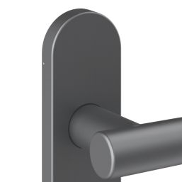 Cooke & Lewis Damgan WC Lever on Backplate Door Handles Pair Titanium