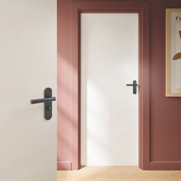 Cooke & Lewis Damgan WC Lever on Backplate Door Handles Pair Titanium