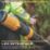 DEWALT  DCMBBL800N-XJ 54V Li-Ion XR FlexVolt Brushless Cordless Backpack Leaf Blower - Bare