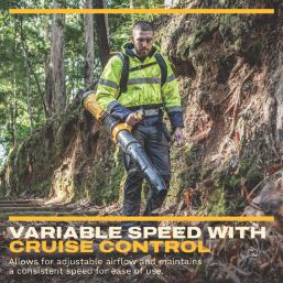 DEWALT  DCMBBL800N-XJ 54V Li-Ion XR FlexVolt Brushless Cordless Backpack Leaf Blower - Bare