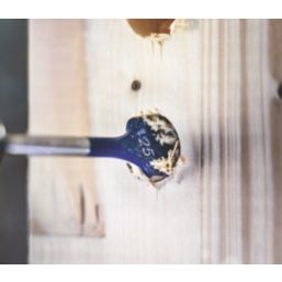 Bosch Expert Self Cut Speed Hex Shank  Flat Wood Spade Drill Bit Set 13 Pieces