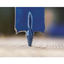 Bosch Expert Self Cut Speed Hex Shank  Flat Wood Spade Drill Bit Set 13 Pieces