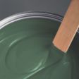 Green Emulsion Paints