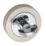 Carlisle Brass  Standard WC Thumbturn Set Polished Chrome / Satin Nickel 50mm
