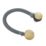 Highlife Bathrooms Clicker Waste Brushed Brass