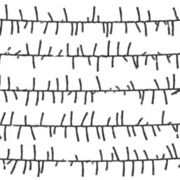 1000 LED Indoor & Outdoor Ice White Cluster Christmas Lights