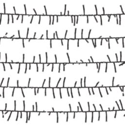 1000 LED Indoor & Outdoor Ice White Cluster Christmas Lights